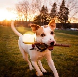 Meet your Posher, Donna